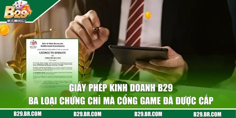 Giấy Phép Kinh Doanh B29 - Sự Cam Kết Minh Bạch 100% 2 Ba loại giấy phép mà B29 đã được cấp