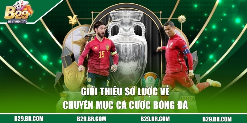 Cá Cược Bóng Đá - Chuyên Mục Được Yêu Thích Ở Cổng B29  1 Chuyên mục cá độ túc cầu của B29 có gì đặc biệt?